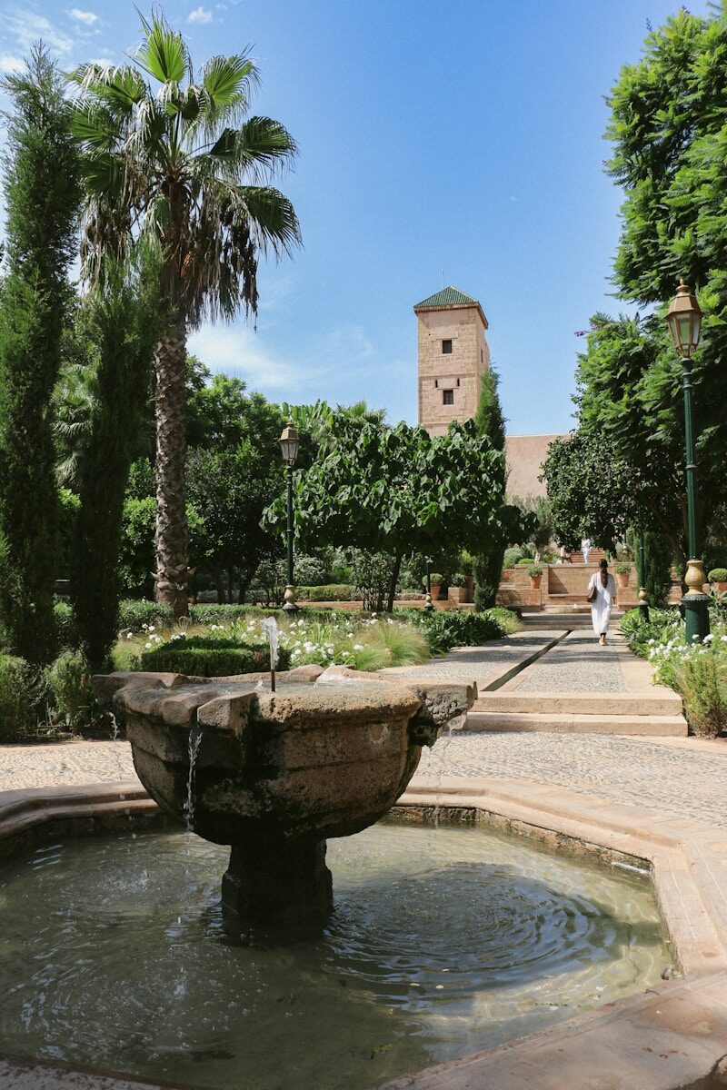 a fountain in a park with palm trees in the background